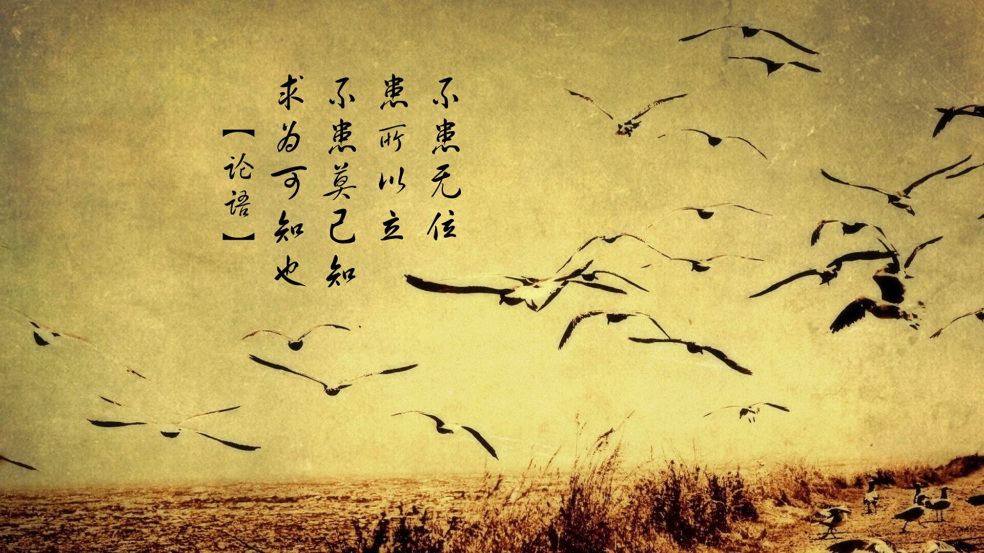 开云kaiyun-勒沃库森2-2沃尔夫斯堡，特拉普和赫尔佐格各入一球，勒沃库森 沃尔夫斯堡